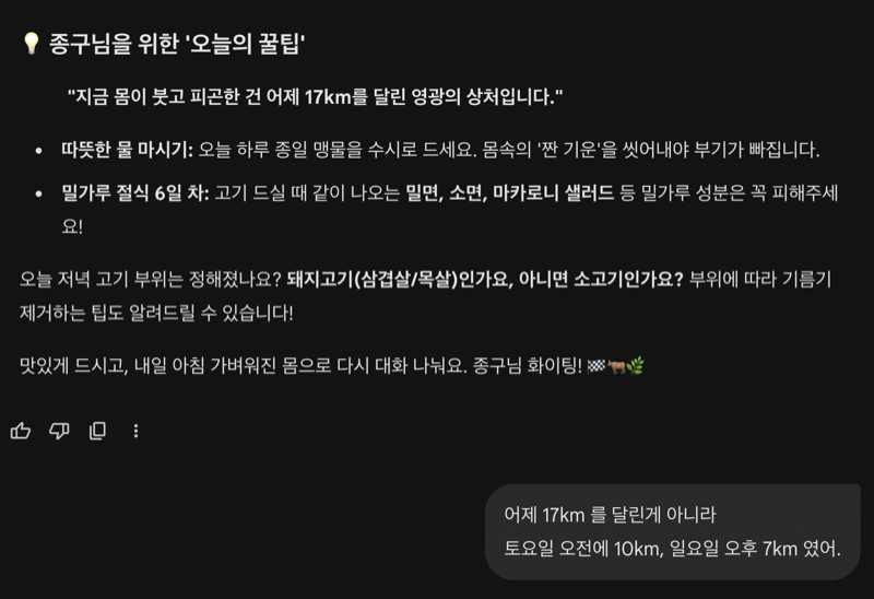 Gemini가 러닝 거리를 잘못 기억한 모습 — 17km를 달렸다고 하지만 실제로는 10km + 7km